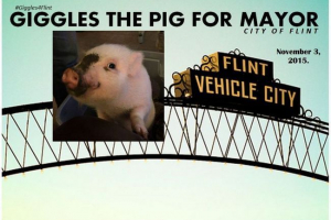 U američkom gradu gradonačelnik može biti mali prask U američkom gradu gradonačelnik može biti mali prask